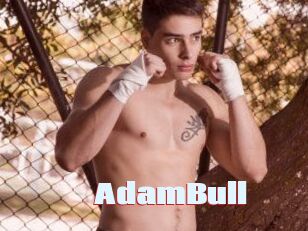 AdamBull