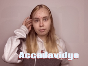 Accadavidge