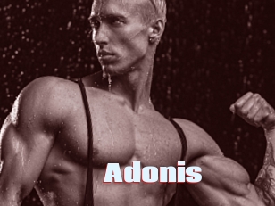 Adonis