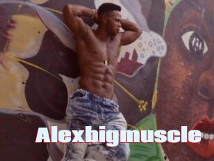 Alexbigmuscle