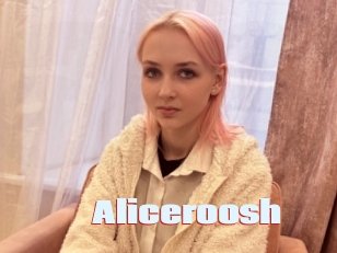 Aliceroosh