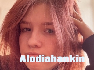 Alodiahankin