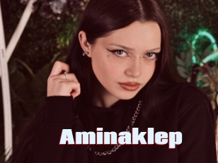 Aminaklep