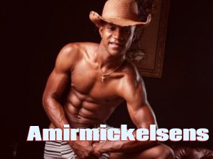 Amirmickelsens