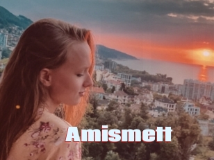 Amismett
