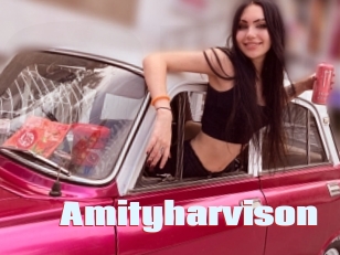 Amityharvison