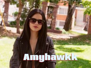 Amyhawkk