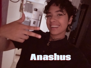 Anashus