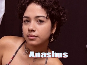 Anashus