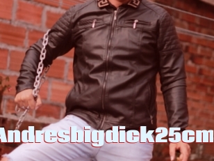 Andresbigdick25cm