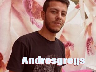 Andresgreys