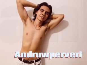 Andruwpervert