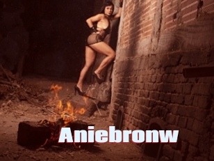 Aniebronw