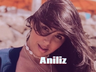 Aniliz