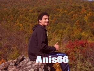 Anis66