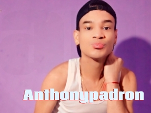 Anthonypadron