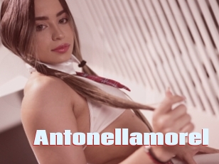 Antonellamorel