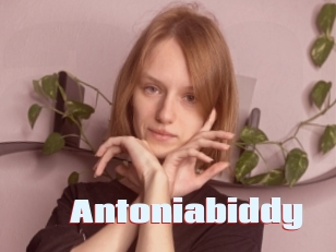 Antoniabiddy