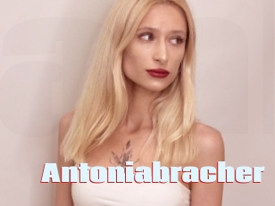 Antoniabracher