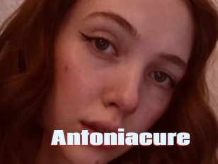 Antoniacure