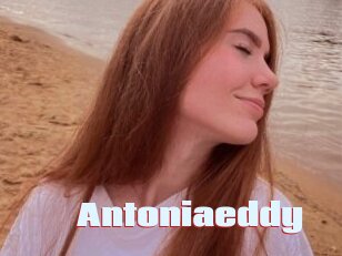 Antoniaeddy