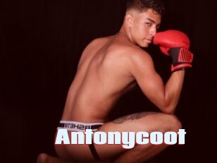 Antonycoot