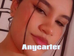 Anycarter