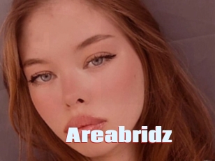 Areabridz