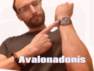 Avalonadonis