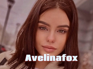 Avelinafox