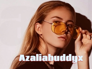 Azaliabuddyx