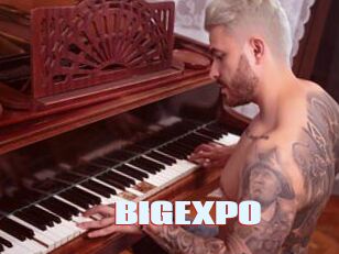 BIGEXPO