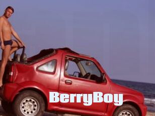 BerryBoy