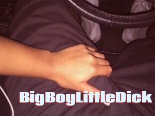 BigBoyLittleDick