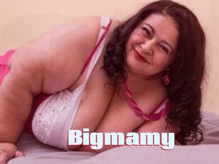 Bigmamy