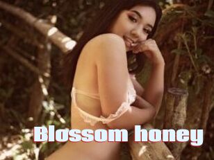 Blossom_honey