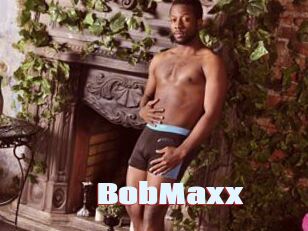 BobMaxx