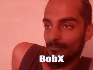 BobX