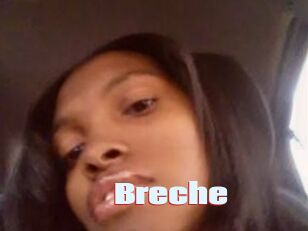 Breche