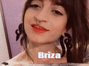 Briza