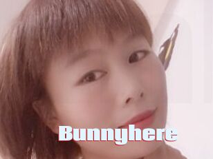 Bunnyhere