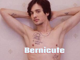 Bernicute