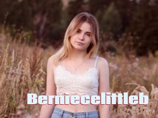 Berniecelittleb