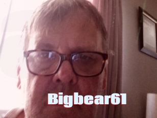 Bigbear61