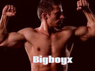 Bigboyx