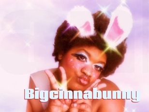 Bigcinnabunny