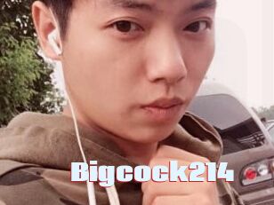 Bigcock214