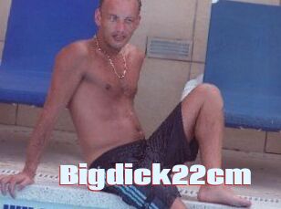 Bigdick22cm