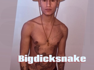 bigdicksnake Anal Open