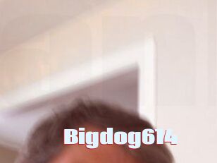 Bigdog614